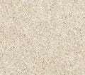 Diffurent Choice III Canvas Cloth