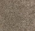 Beautiful Shutter Gray