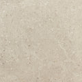 Dignitary Notable Beige