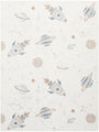 Astra Machine Washable ASW18 Ivory Multicolor