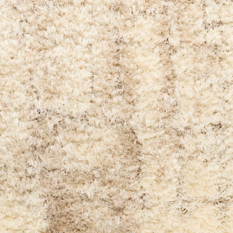 Dreamy Shag Ivory Beige (DRS01)