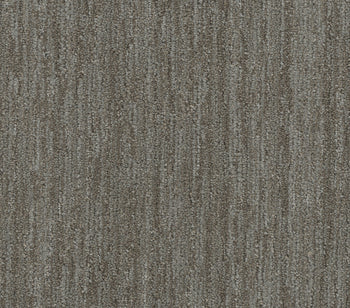 Baja Mesquite
