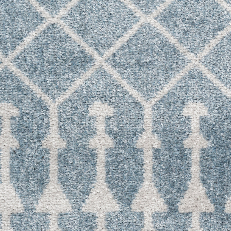 Astra Machine Washable ASW10 Blue