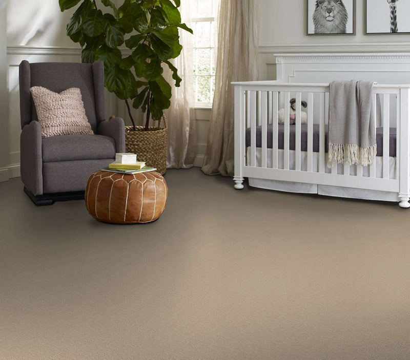 Canvas Comfort Blue Back Patio