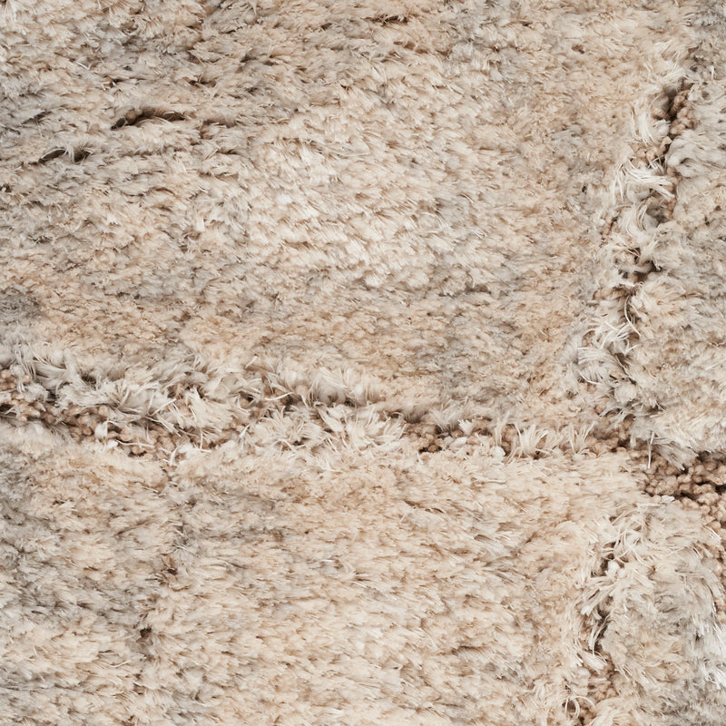 Dreamy Shag Ivory Beige (DRS09)