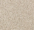 Elegant Appeal I Manor Stone
