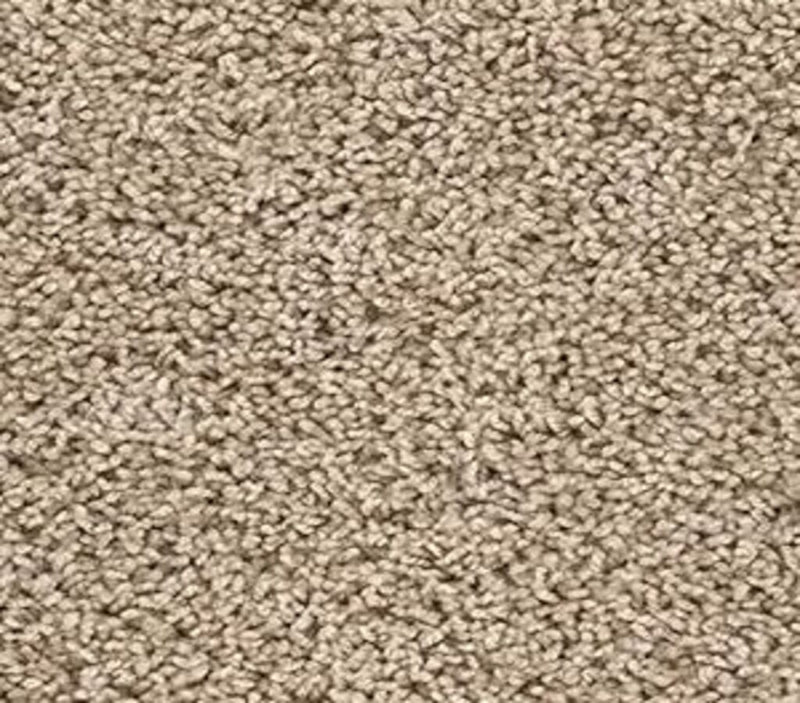 Floorigami Carpet Diem SB 103 Canvas