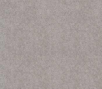 Luxurious Vision Soft Smoke
