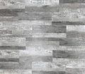 New York Plank Bluebird