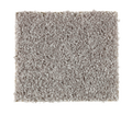Action Item Secret Passage