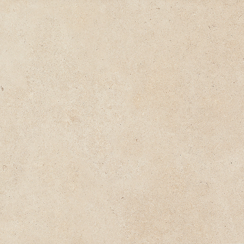 Haut Monde Nobility White