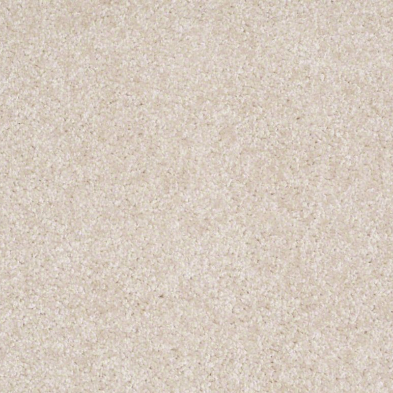 Parlay Sand Dollar