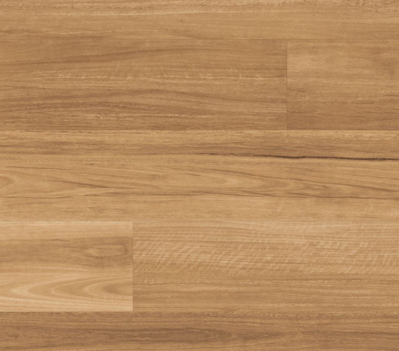Loose Lay Longboard Lemon Spotted Gum