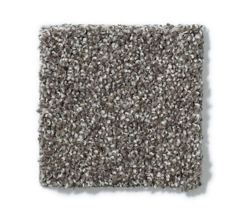 Picturesque Graphite